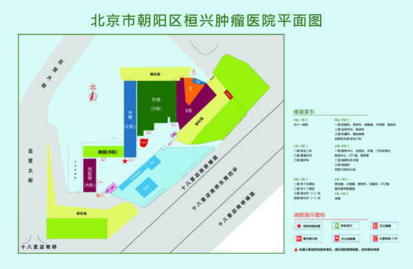 操老骚逼P北京市朝阳区桓兴肿瘤医院平面图